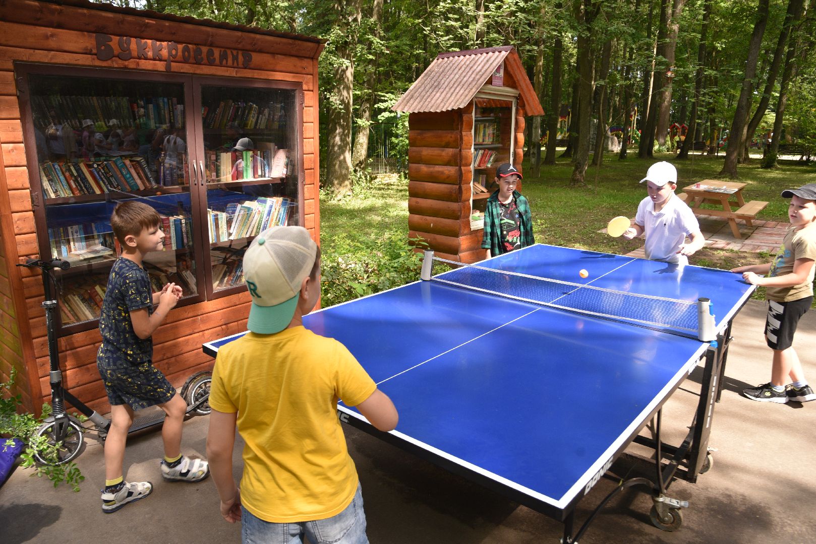 лотошино, лотошинский парк, дети, детский лагерь, парки подмосковья,