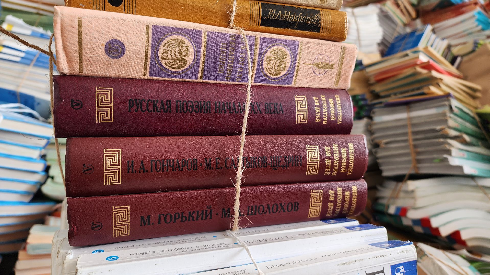 Книги, Библиотека, Школа, Лобня,