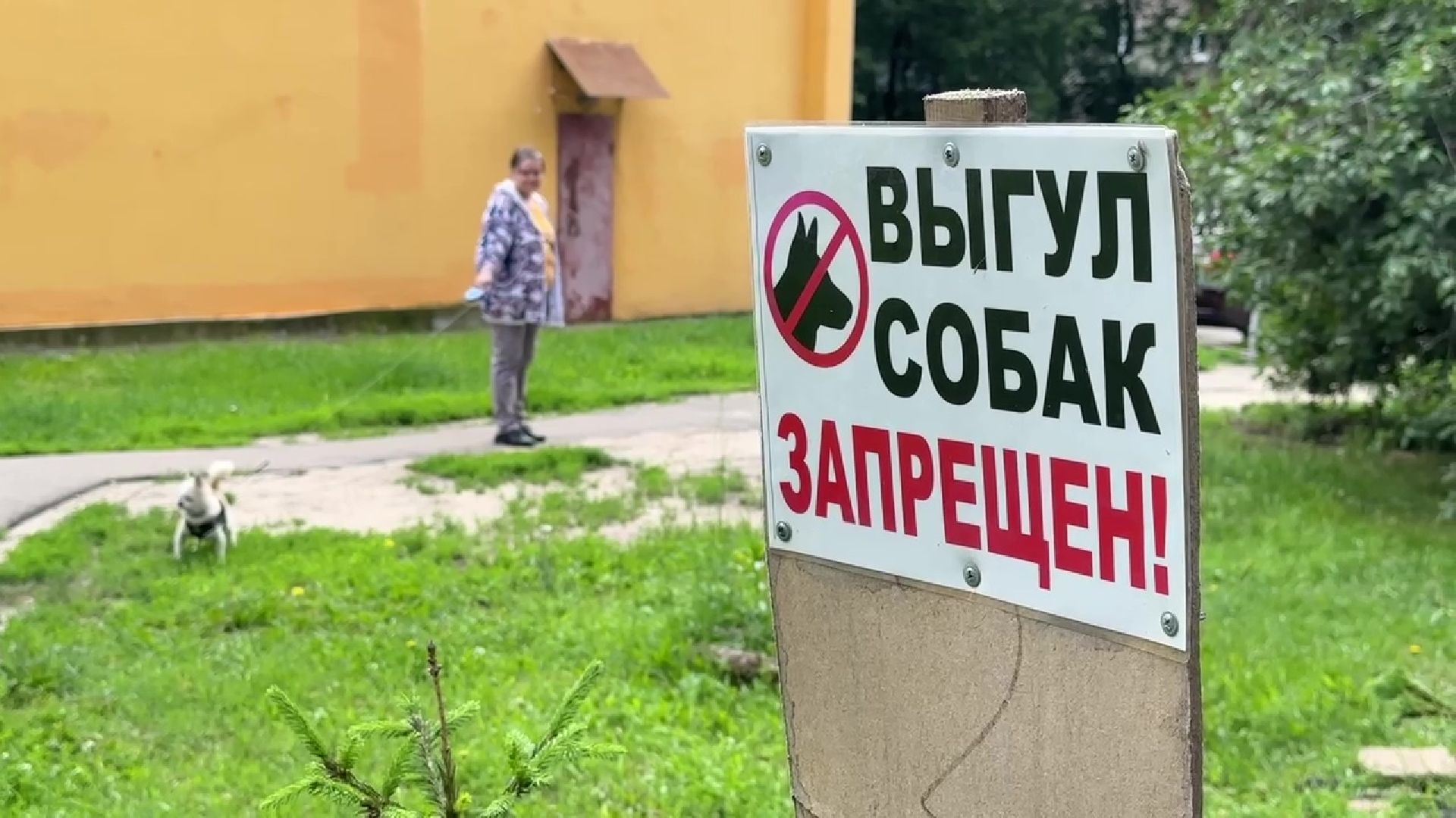 Реутов, благоустройство, клумба, своими руками,