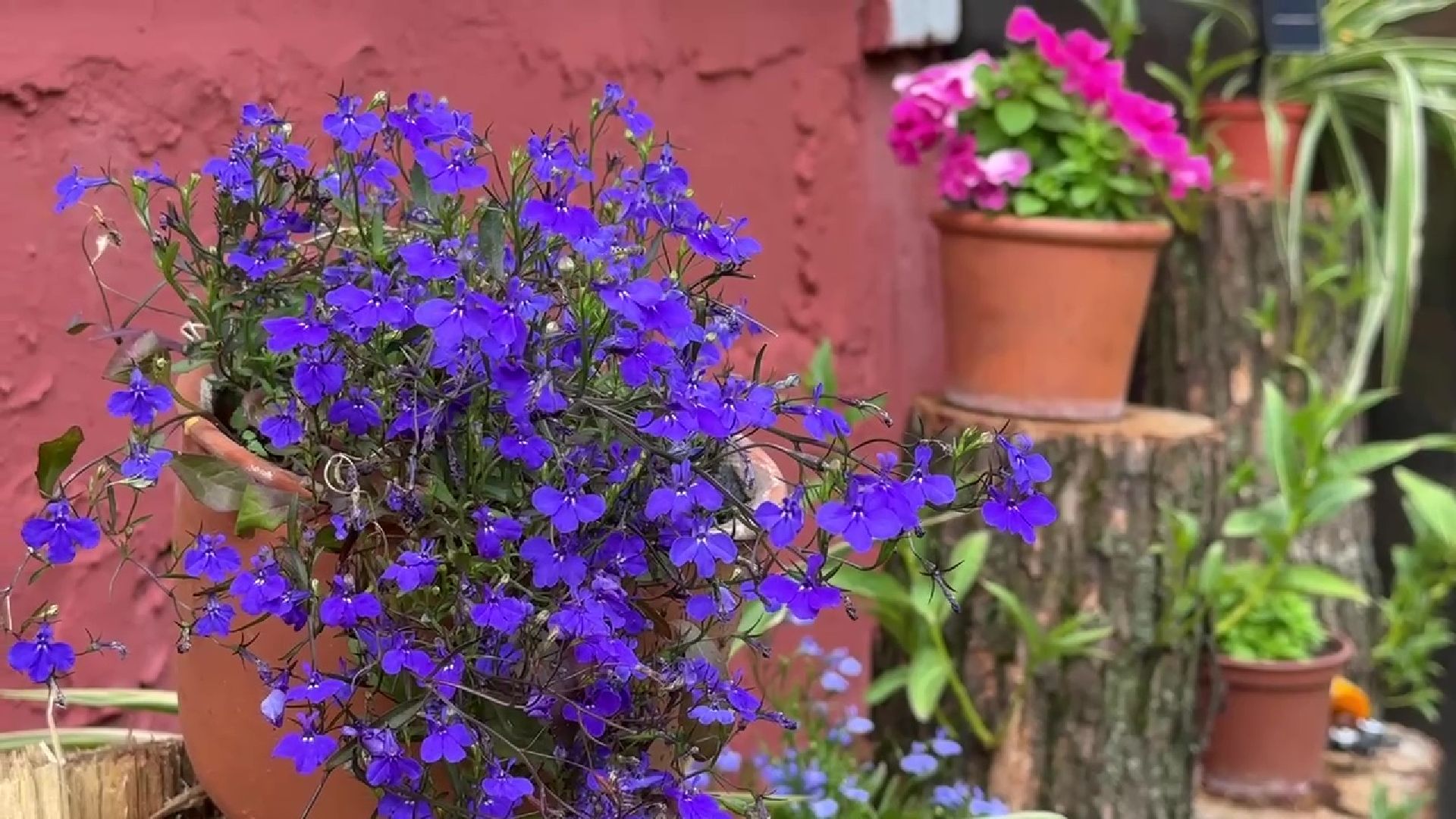 Реутов, благоустройство, клумба, своими руками,