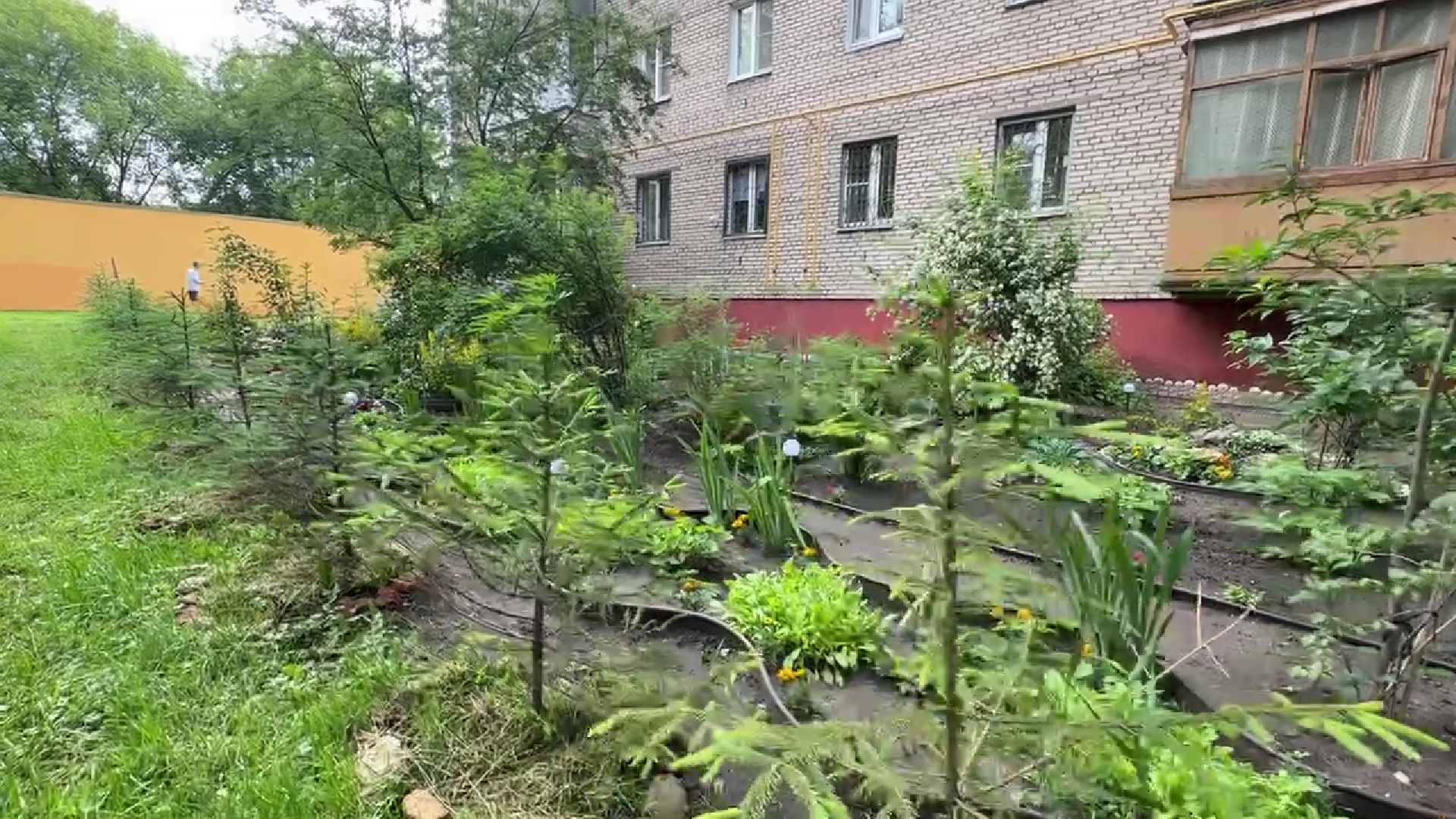 Реутов, благоустройство, клумба, своими руками,