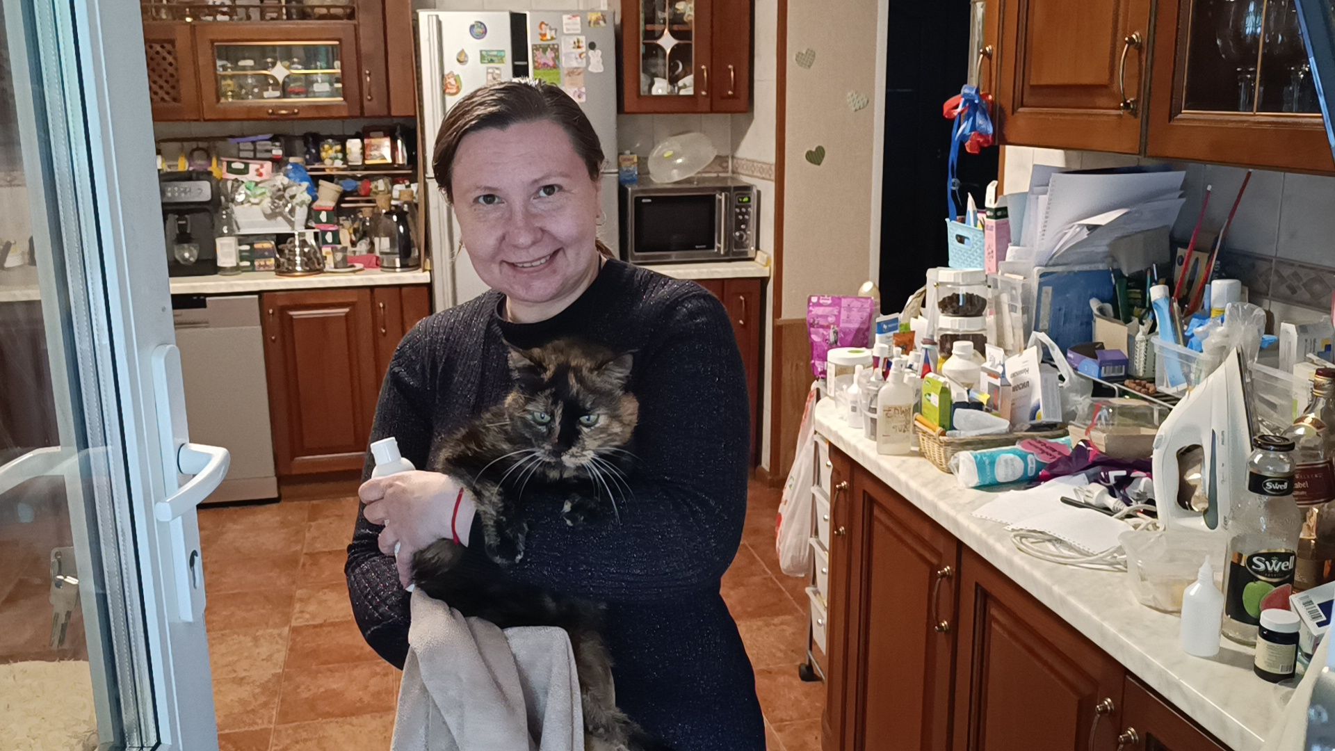 кошка, лобня, благотворители,