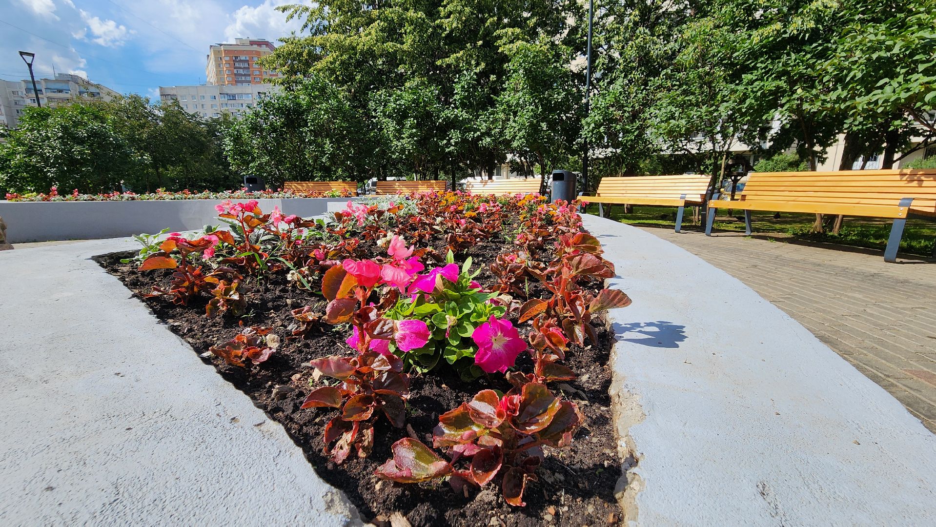 по следам выездной администрации, поручение главы, городской сквер, озеленение города,