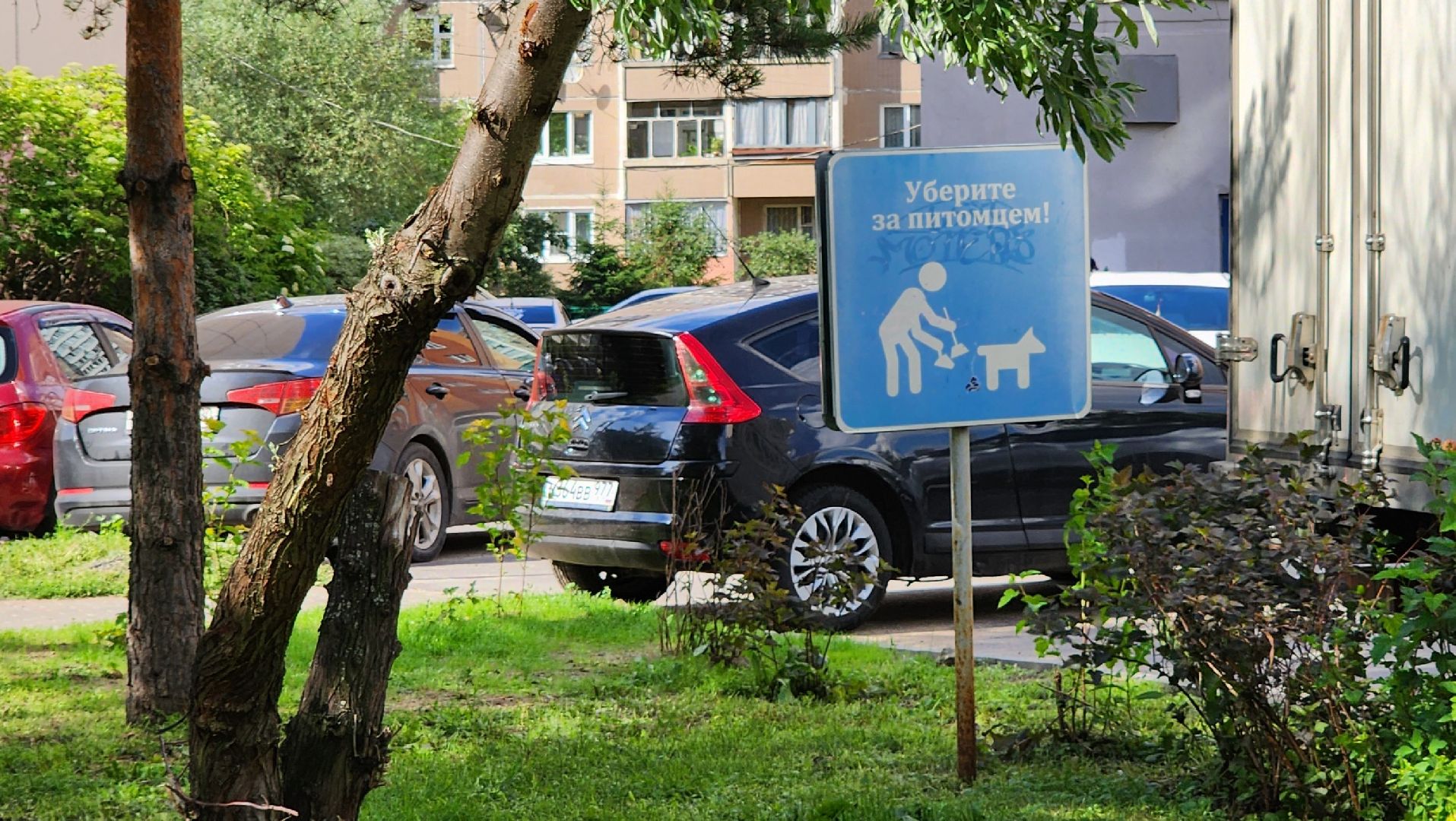 по следам выездной администрации, поручение главы, городской сквер, озеленение города,