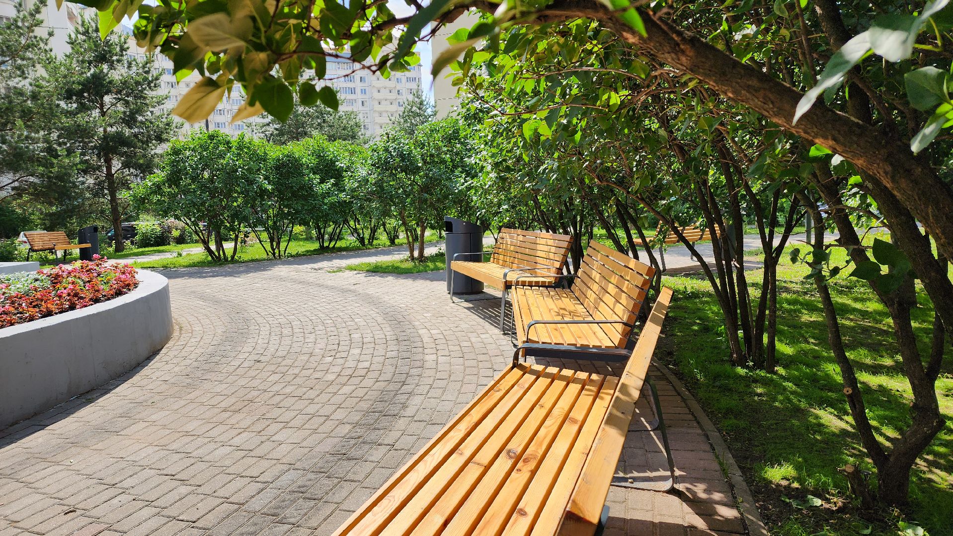 по следам выездной администрации, поручение главы, городской сквер, озеленение города,