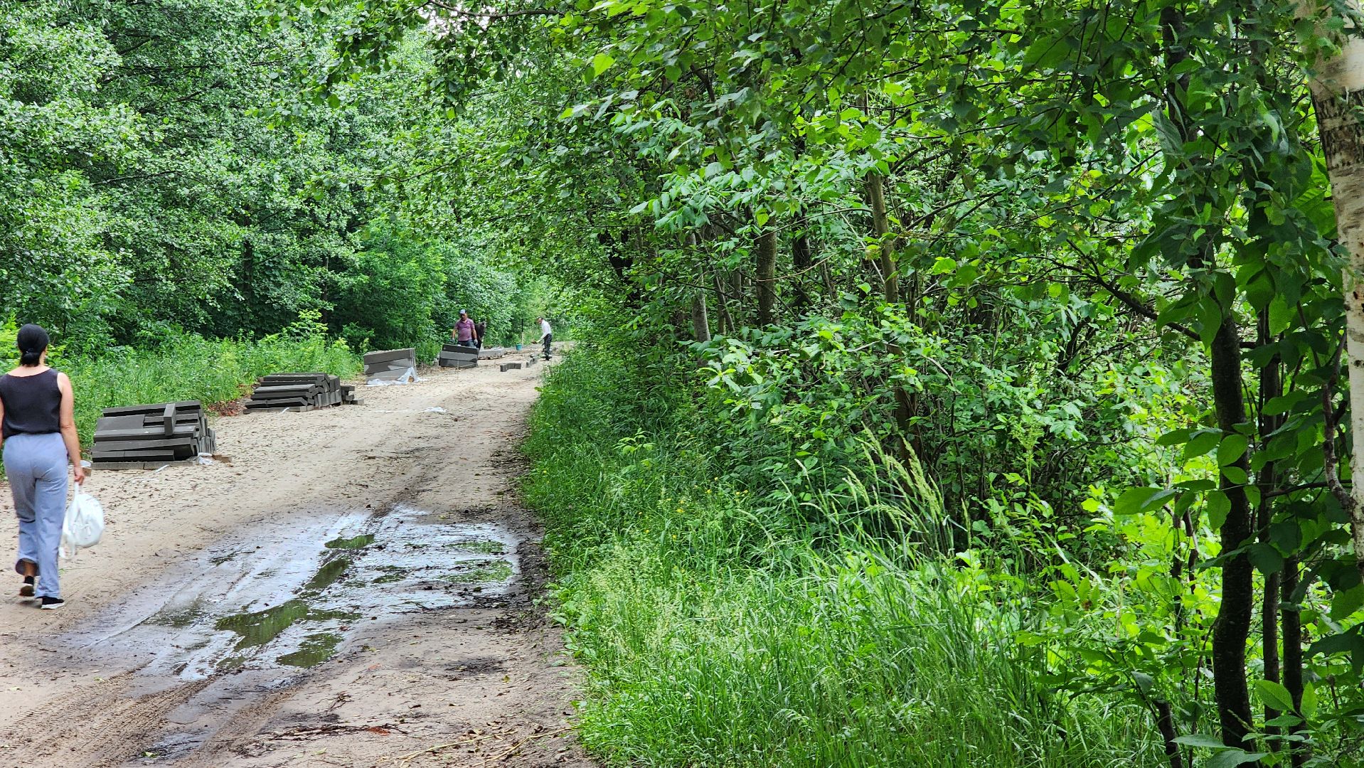народные тропы, благоуйстройство, озеро Юбилейное, рошаль, Большая Шатура,