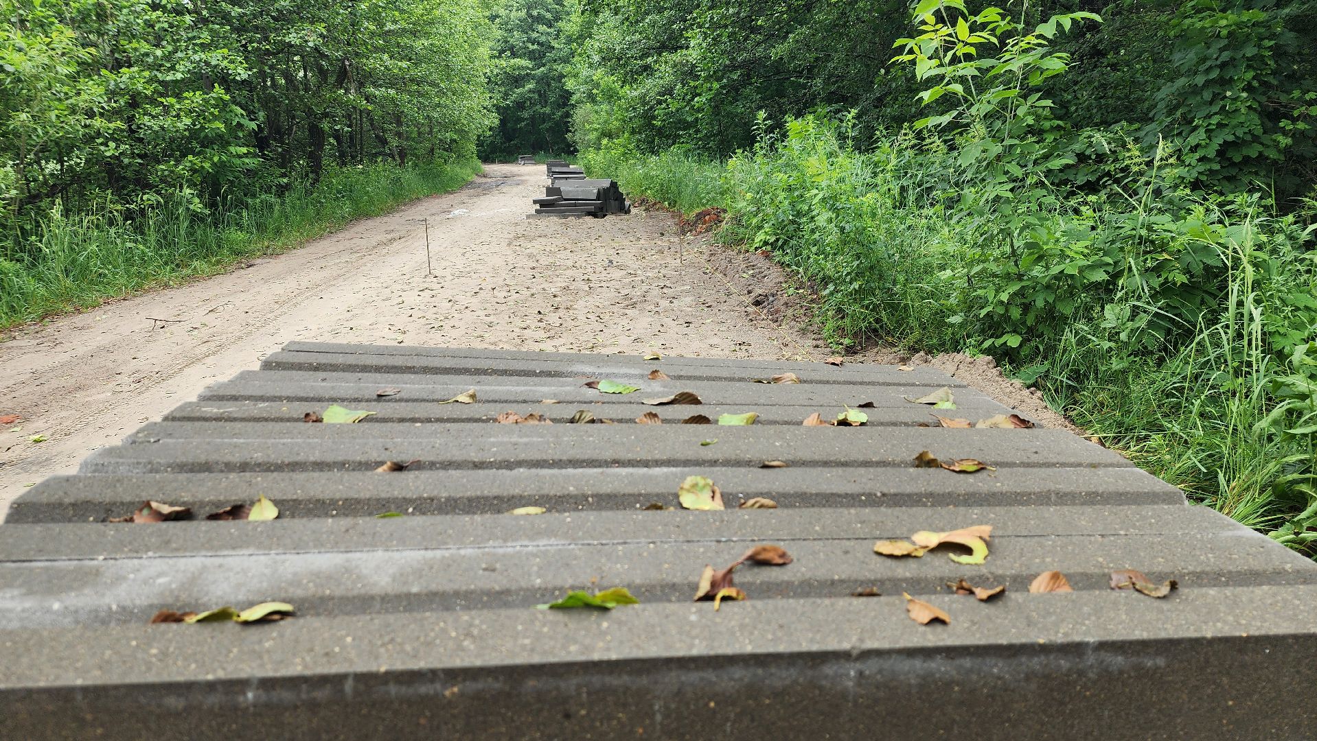 народные тропы, благоуйстройство, озеро Юбилейное, рошаль, Большая Шатура,