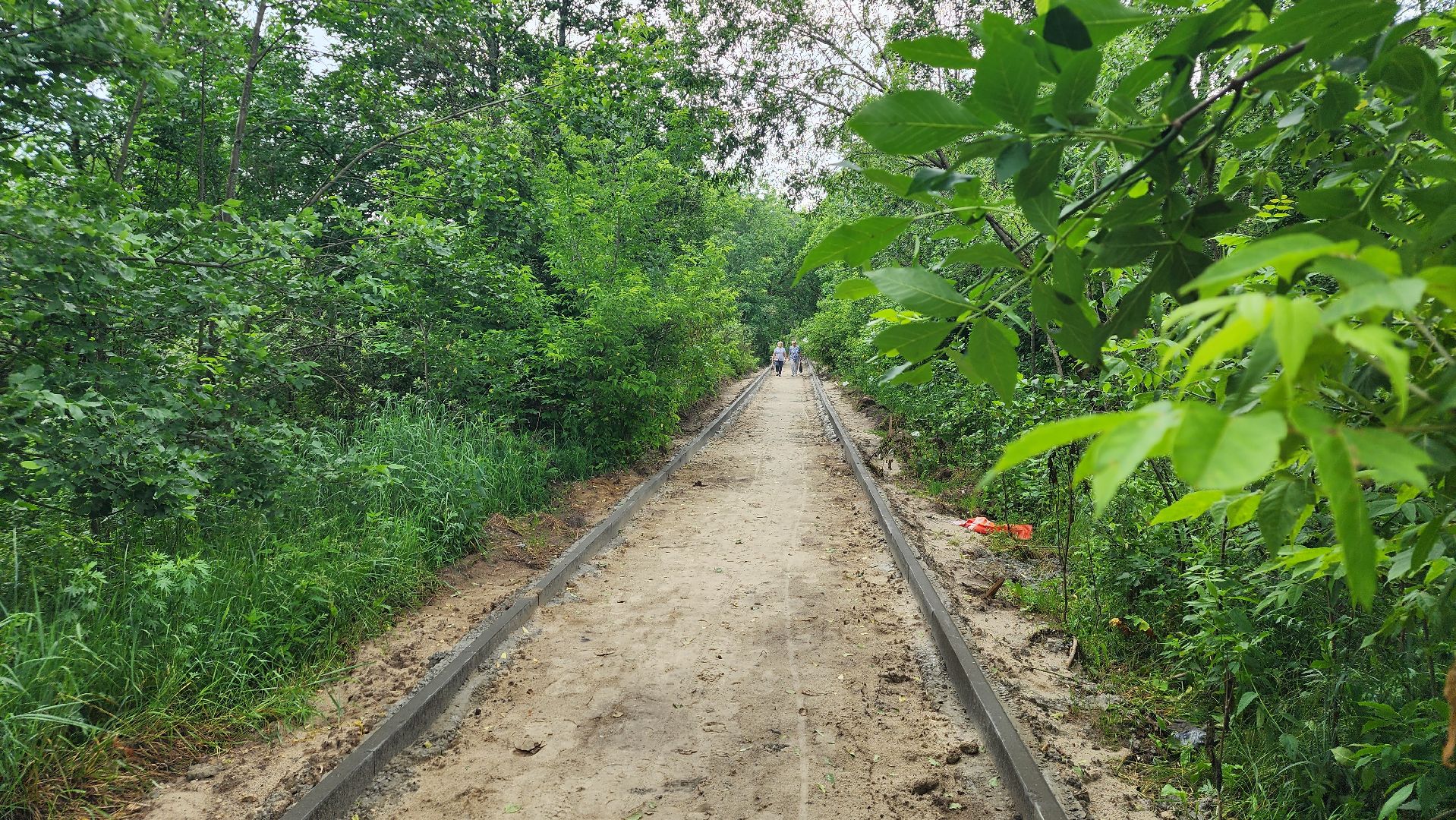 народные тропы, благоуйстройство, озеро Юбилейное, рошаль, Большая Шатура,