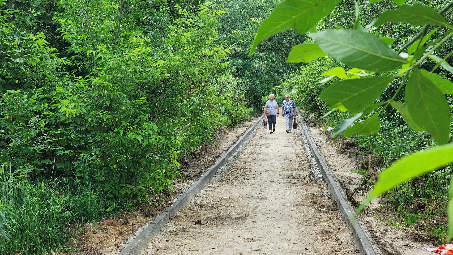 народные тропы, благоуйстройство, озеро Юбилейное, рошаль, Большая Шатура,