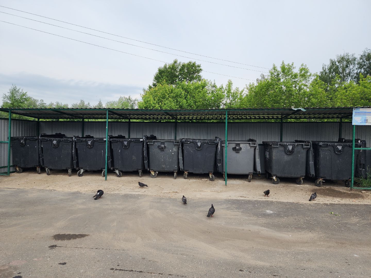 контейнерная площадка, вывоз мусора, уборка мусора, Старая Купавна, Богородский городской округ,