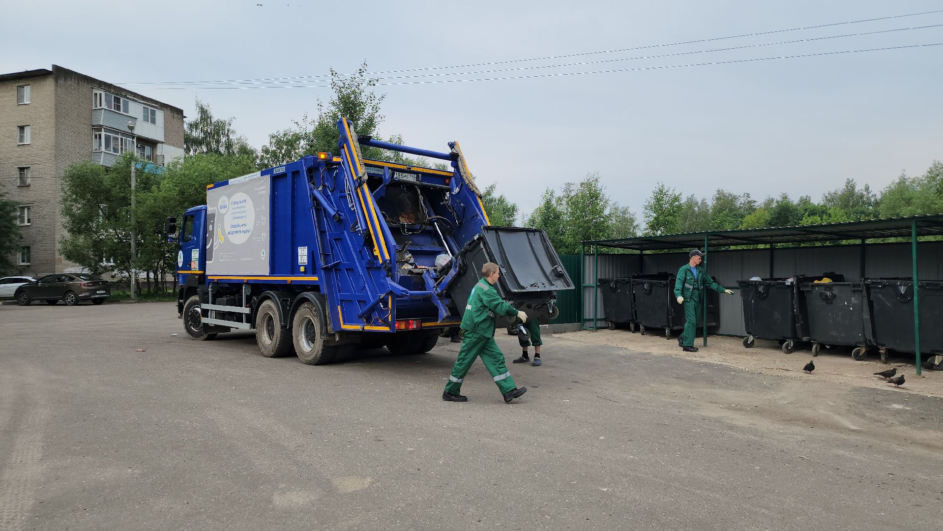 контейнерная площадка, вывоз мусора, уборка мусора, Старая Купавна, Богородский городской округ,