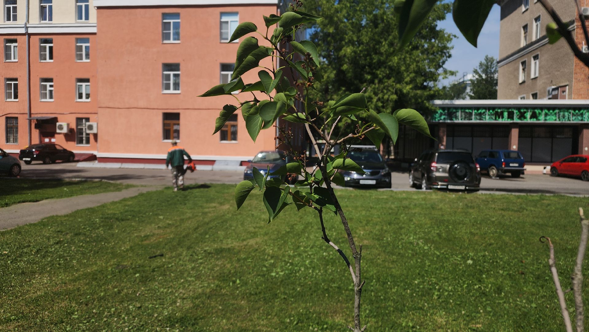 ступино, благоустройство 2024, комфортная среда,