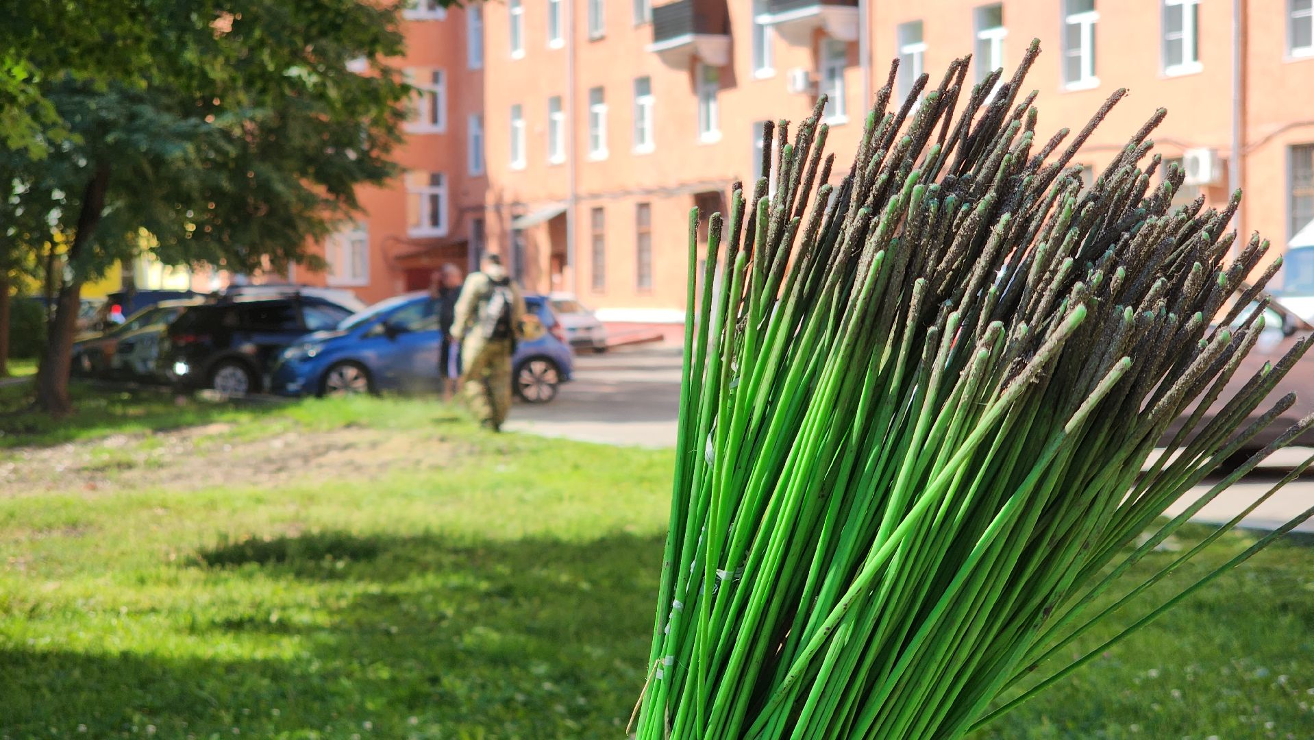 ступино, благоустройство 2024, комфортная среда,