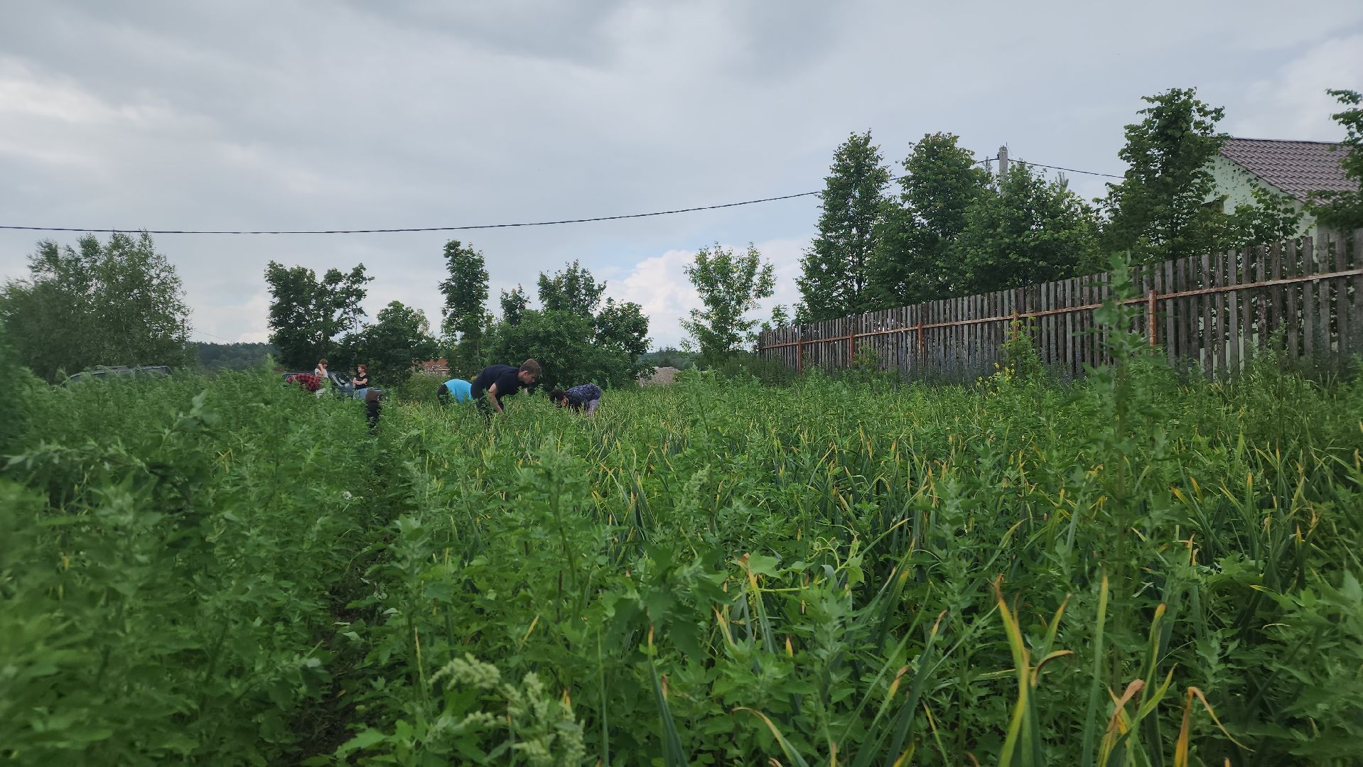 ступино, агрообразование, образование подмосковья,