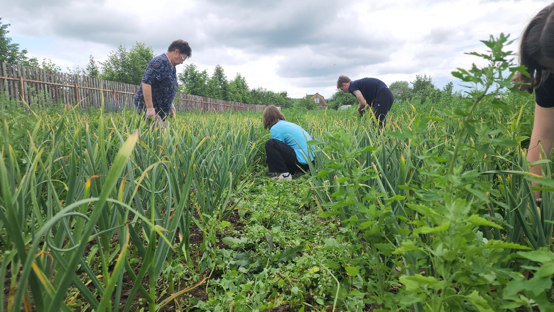 ступино, агрообразование, образование подмосковья,