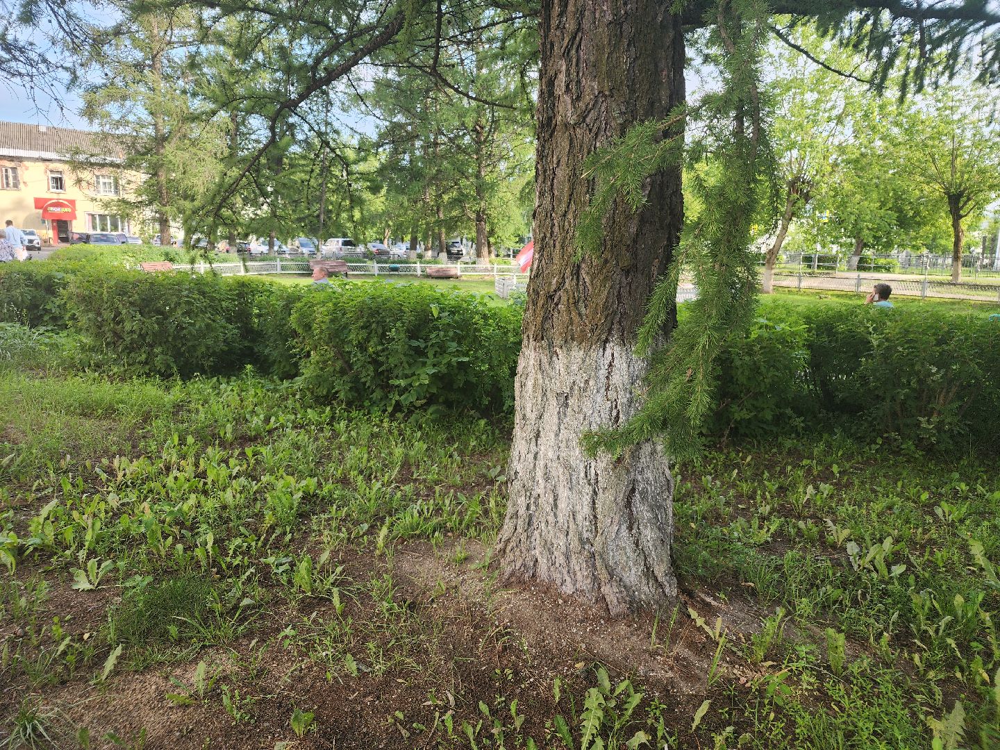 выездная администрация, орехово-зуевский округ,