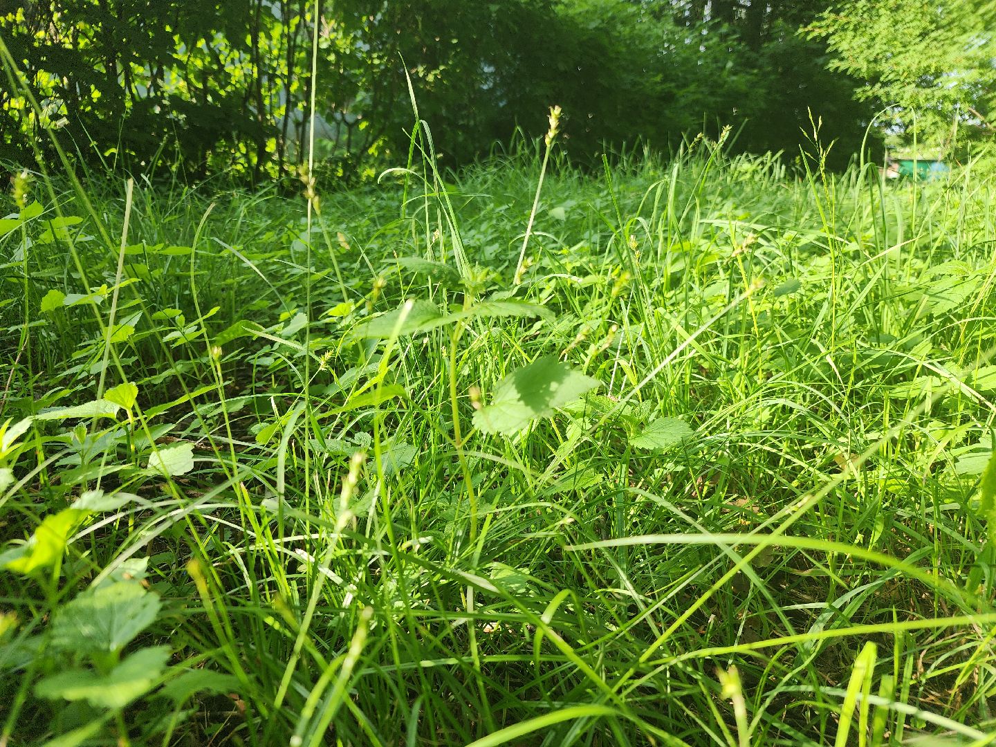 выездная администрация, орехово-зуевский округ,