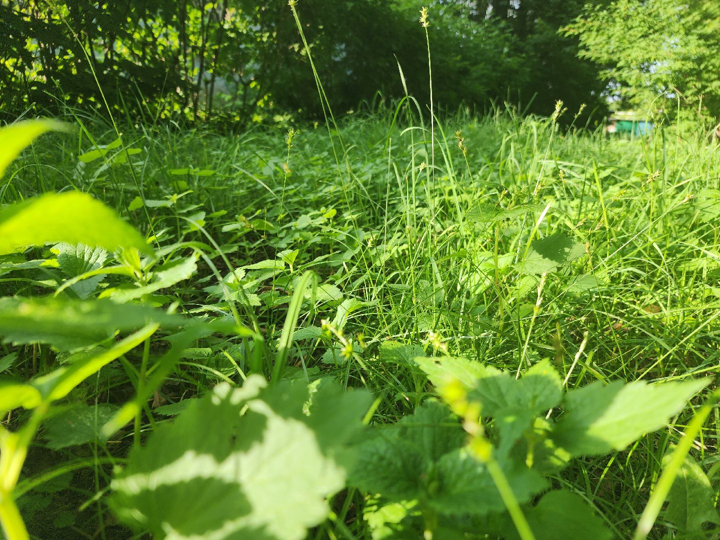 выездная администрация, орехово-зуевский округ,
