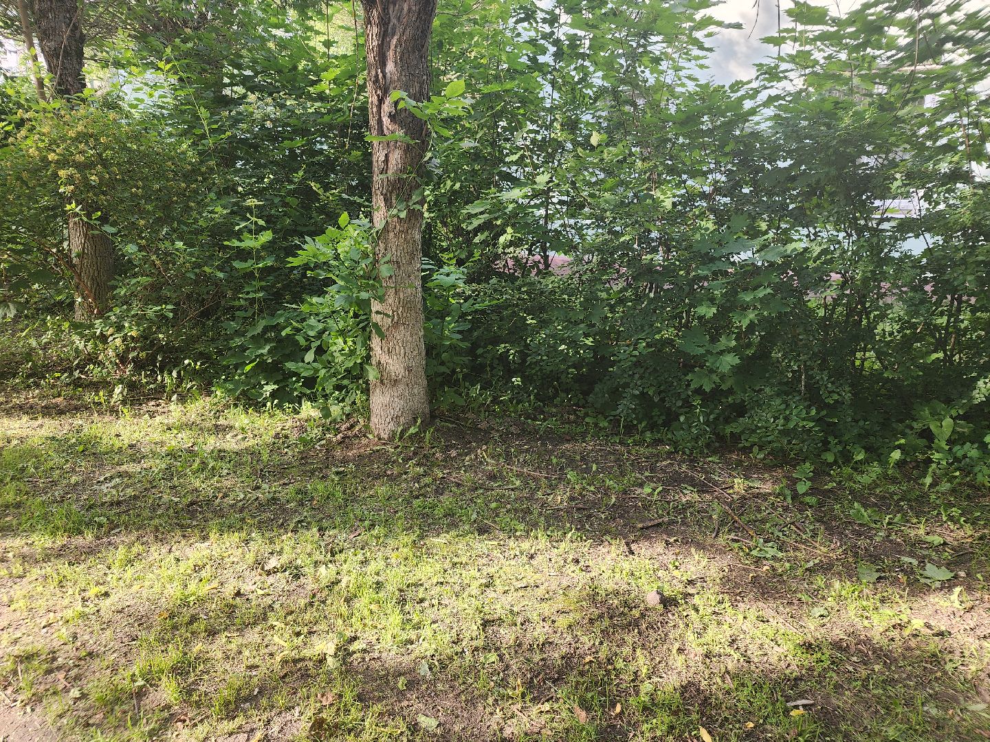 выездная администрация, орехово-зуевский округ,