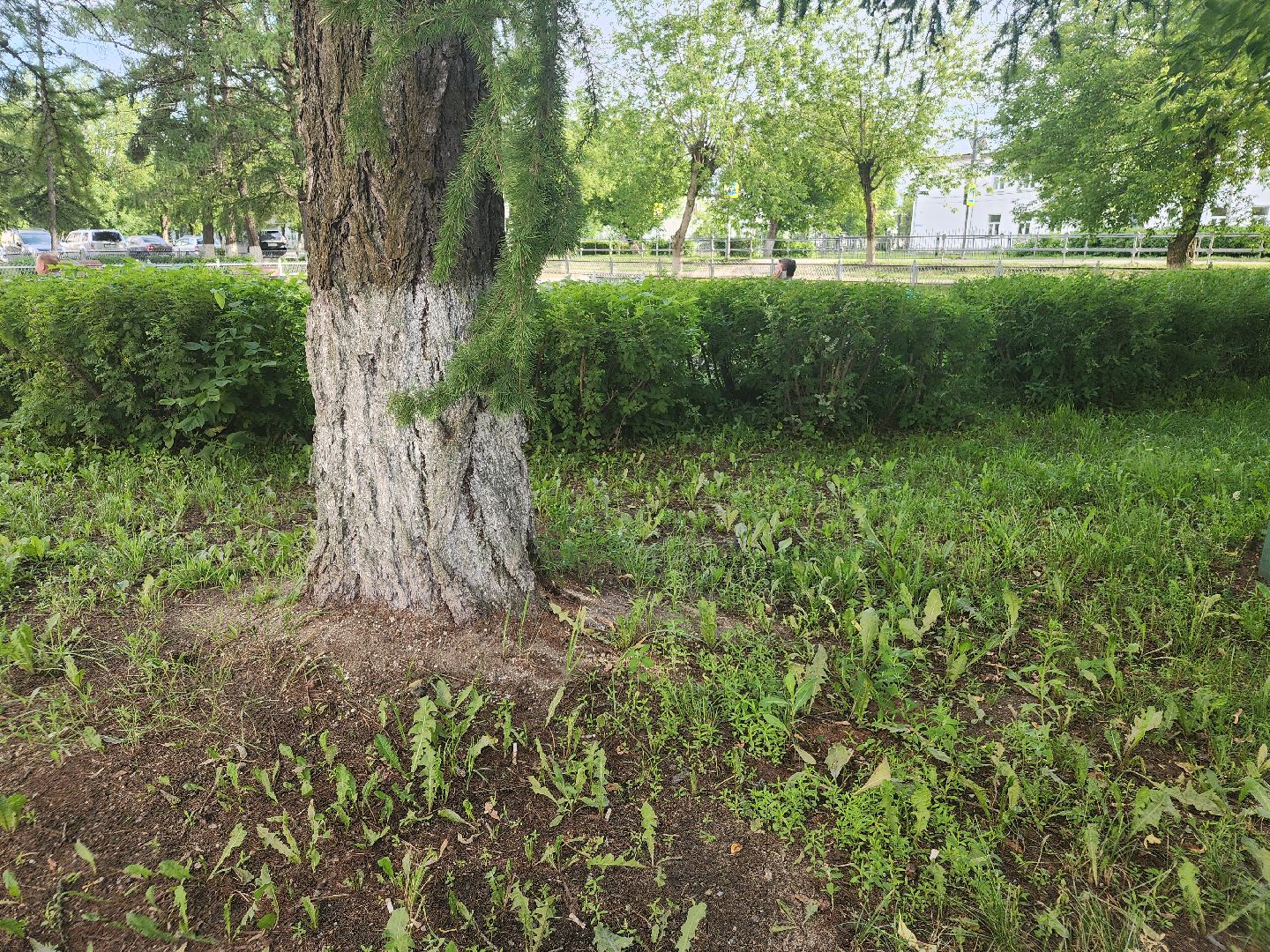 выездная администрация, орехово-зуевский округ,