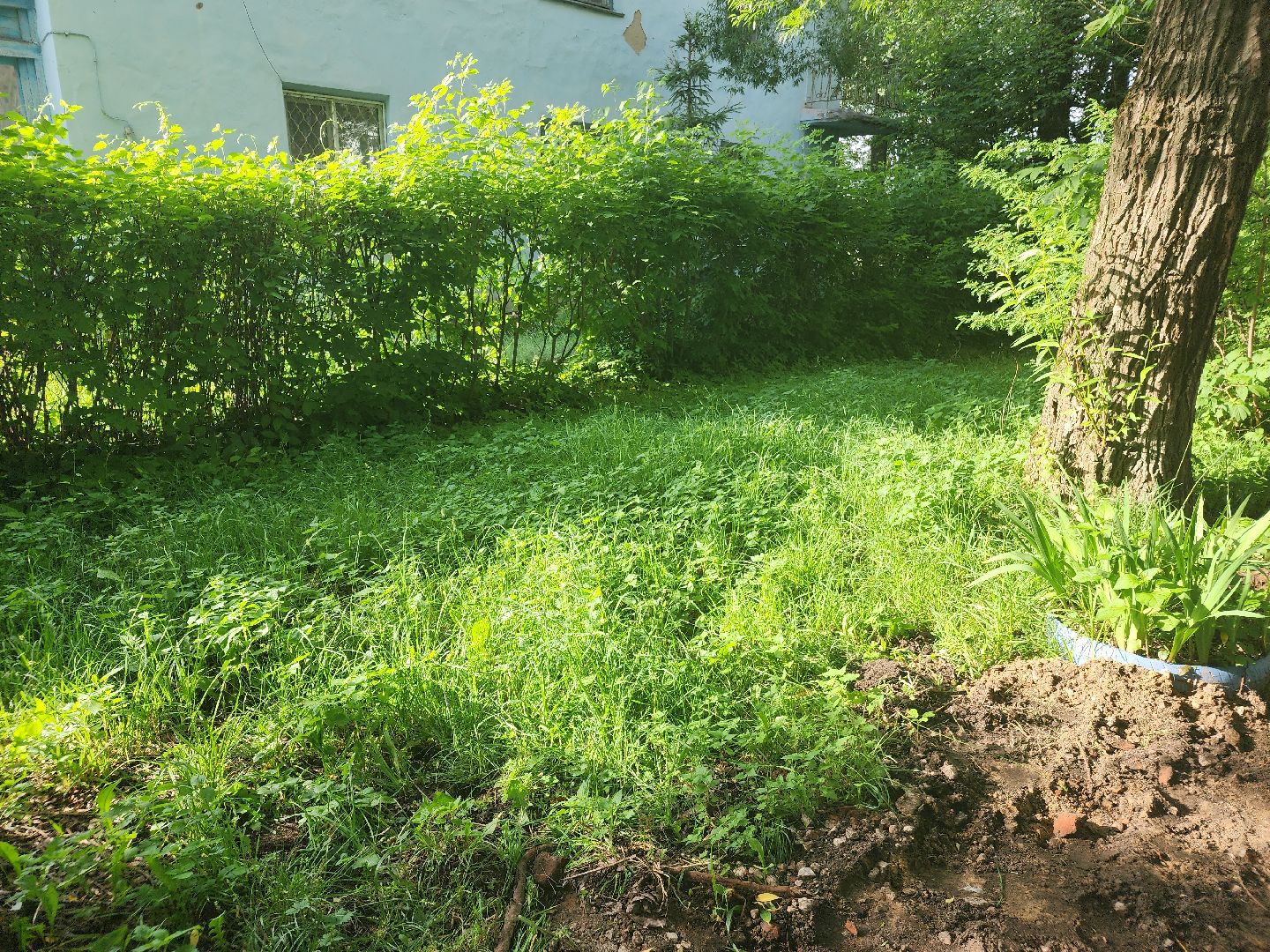 выездная администрация, орехово-зуевский округ,