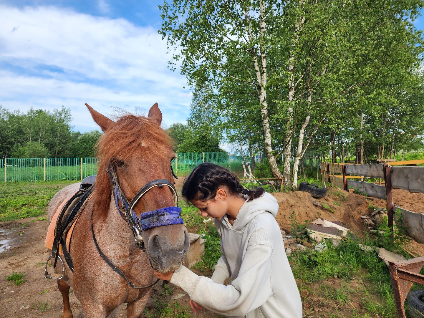 красноармейск, г.о. пушкинский, верховая езда, конный клуб,