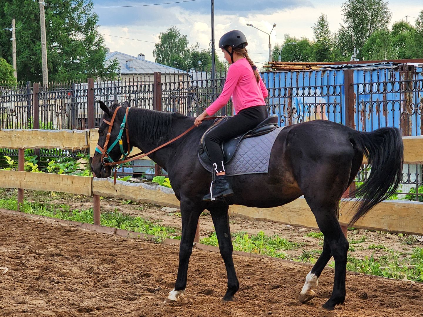 красноармейск, г.о. пушкинский, верховая езда, конный клуб,