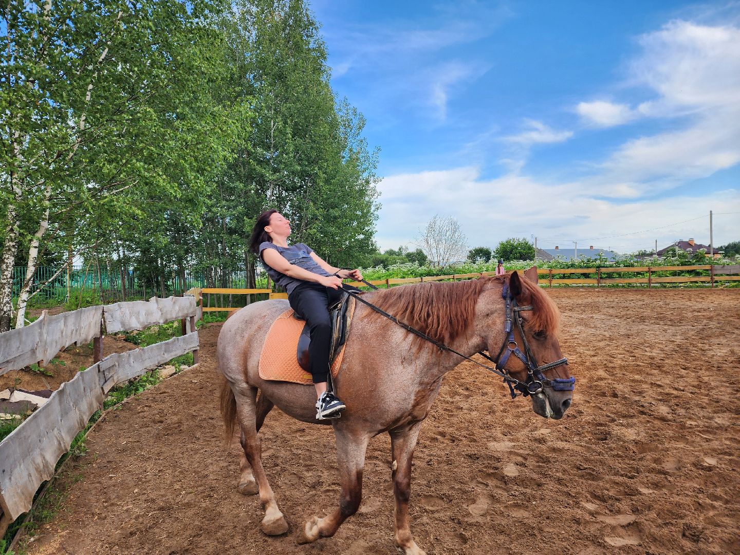 красноармейск, г.о. пушкинский, верховая езда, конный клуб,