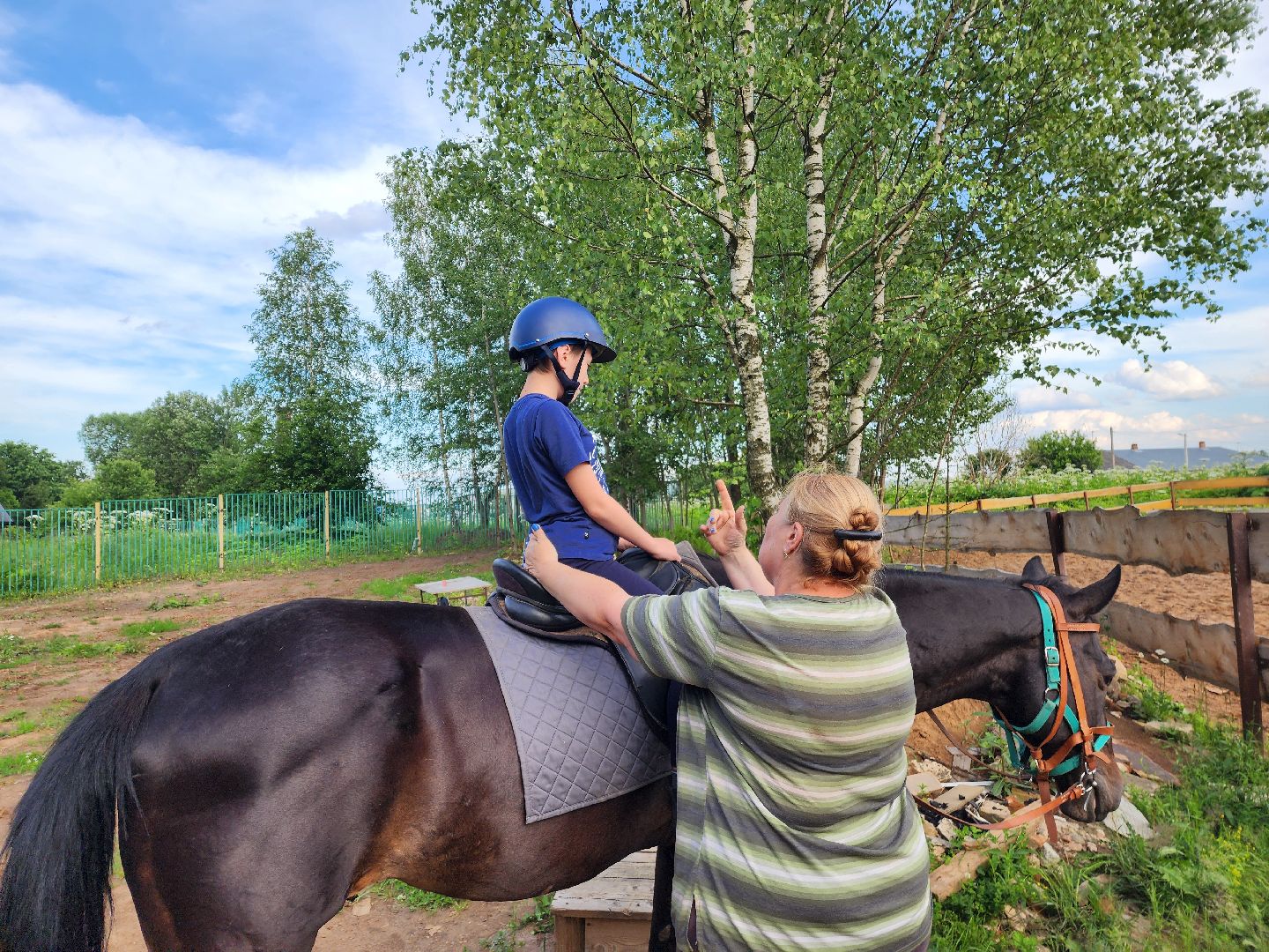 красноармейск, г.о. пушкинский, верховая езда, конный клуб,