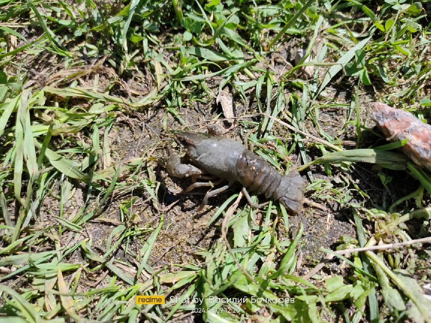 звенигород, Спорт,