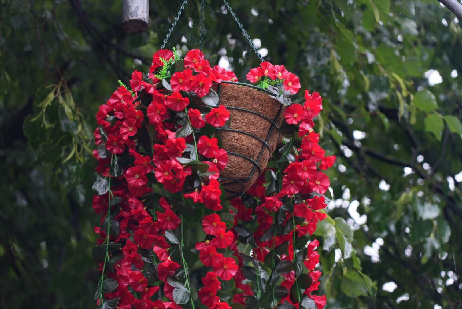 Сергиев Посад, Благоустройство, Украшение города,