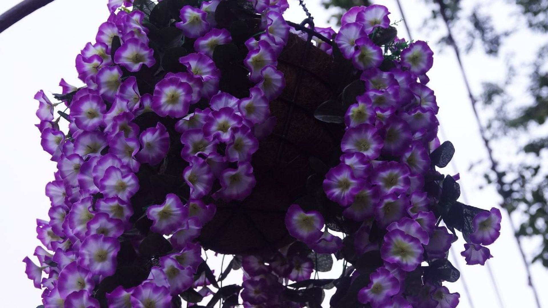 Сергиев Посад, Благоустройство, Украшение города,