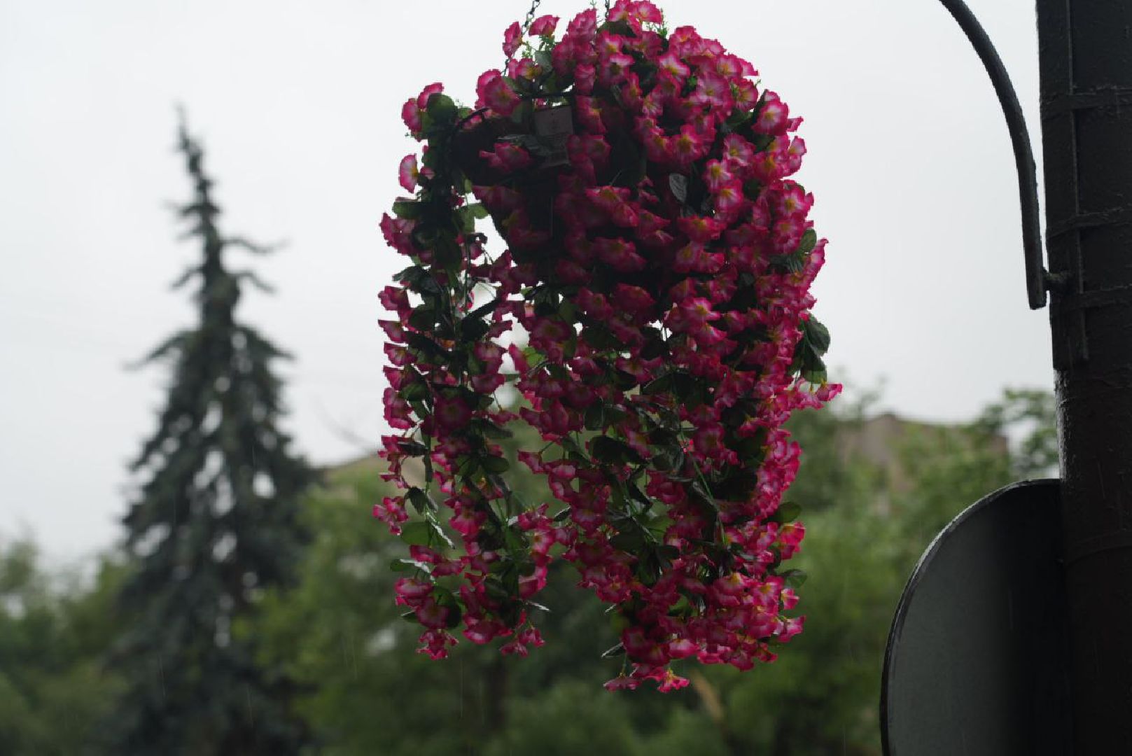 Сергиев Посад, Благоустройство, Украшение города,