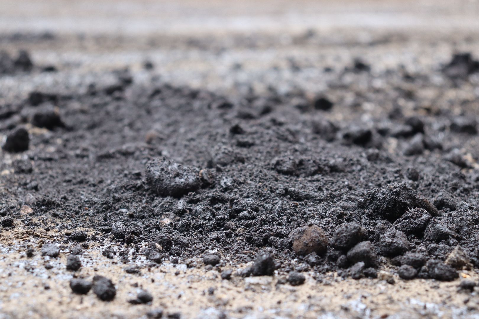 дзержинский, лесная 19, асфальт, благоустройство, Андроник Пак,