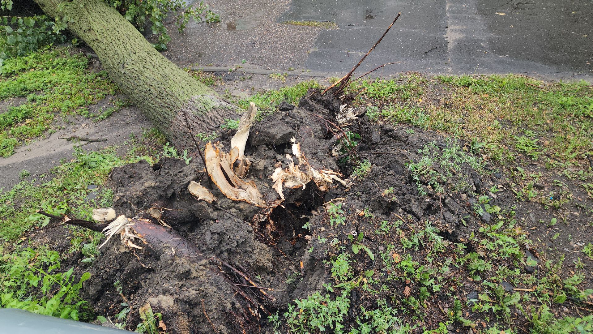 ЧП, шатура, тропический ливень, погода,