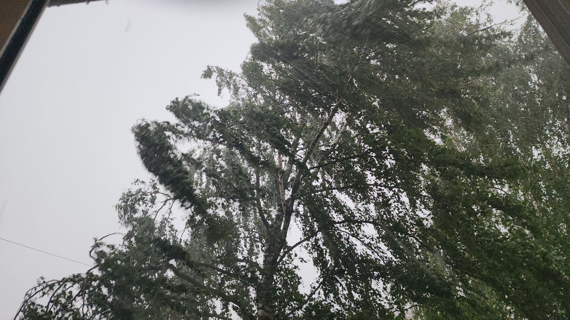 ЧП, шатура, тропический ливень, погода,