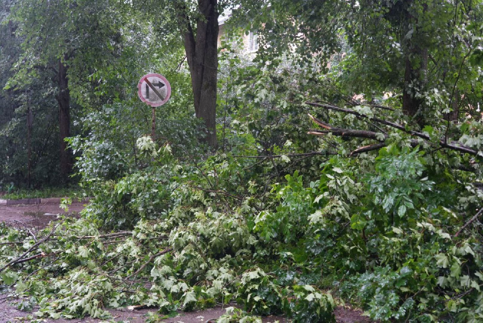 Непогода, Стихия, Мегаливень,
