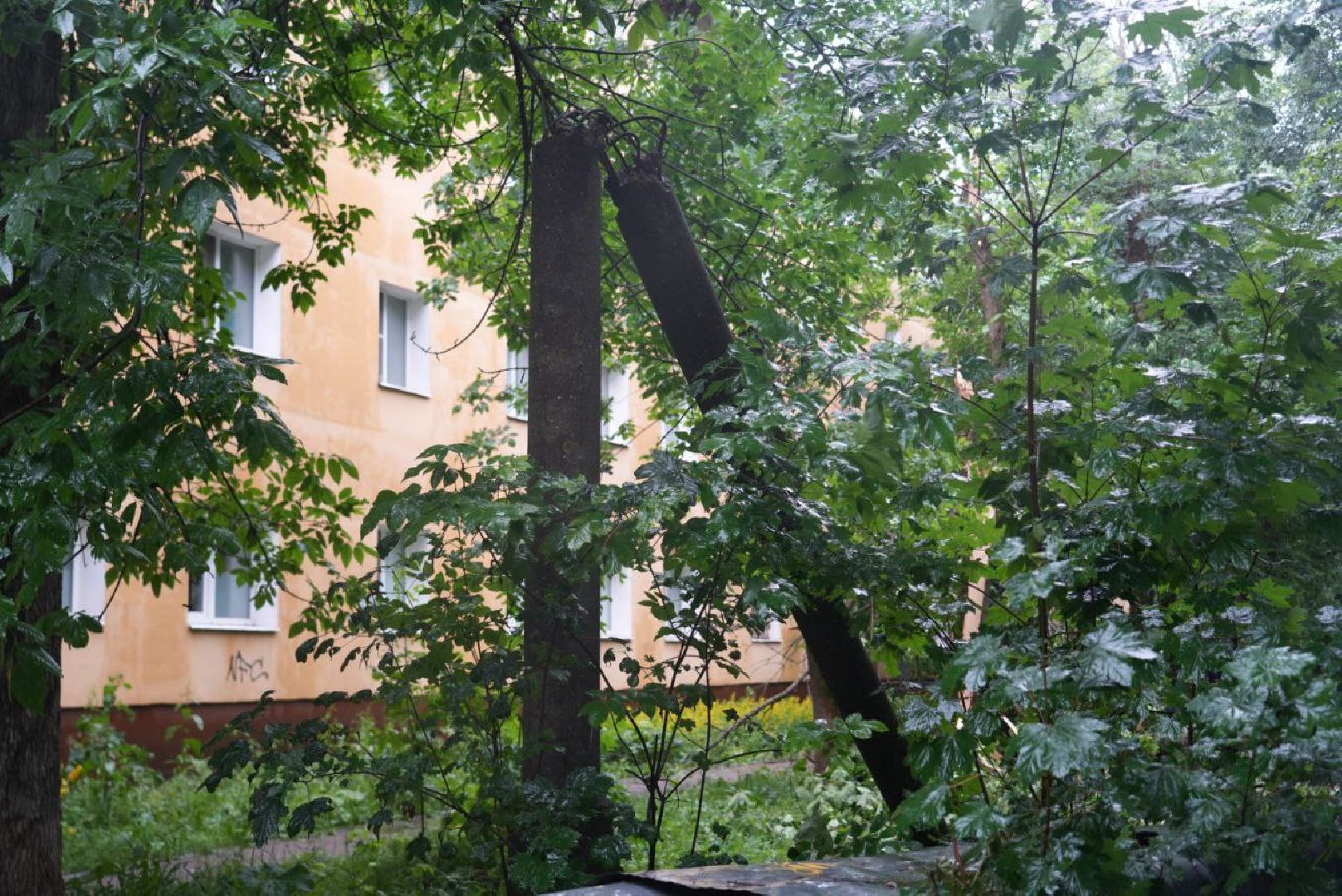 Непогода, Стихия, Мегаливень,