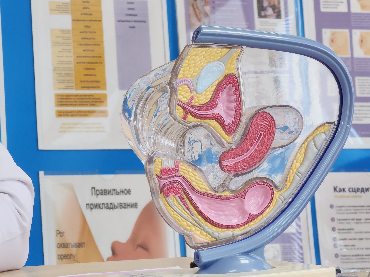 Егорьевск, Московская область, Женская консультация, Вирус папилломы человека, Вакцинация,