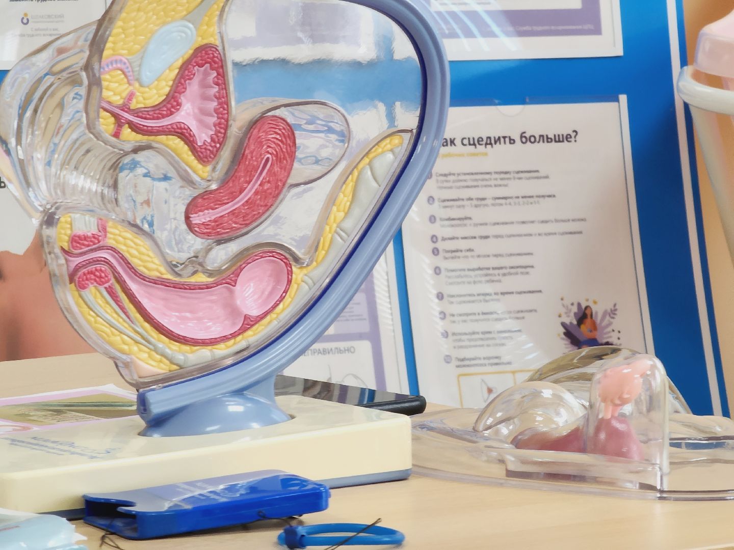 Егорьевск, Московская область, Женская консультация, Вирус папилломы человека, Вакцинация,