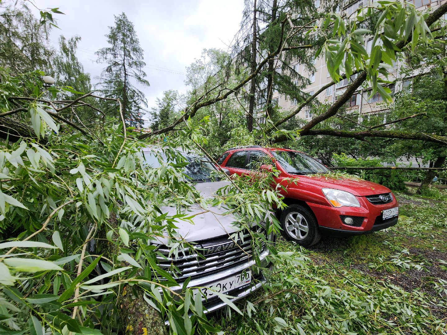 ураган, красногорск, чернево, падение деревьев, ливень,