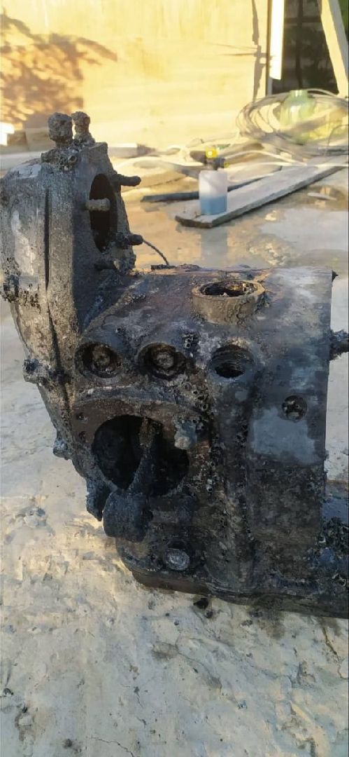 люберцы, охрана окружающей среды, расчистка, уборка, береговая линия,