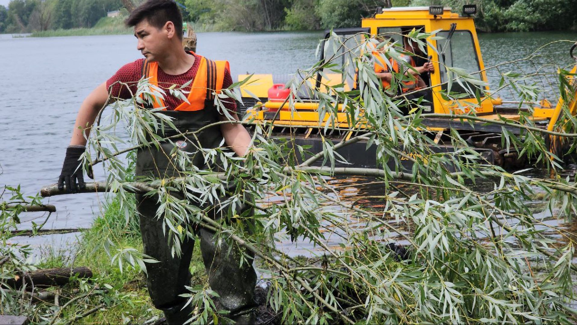 люберцы, охрана окружающей среды, расчистка, уборка, береговая линия,