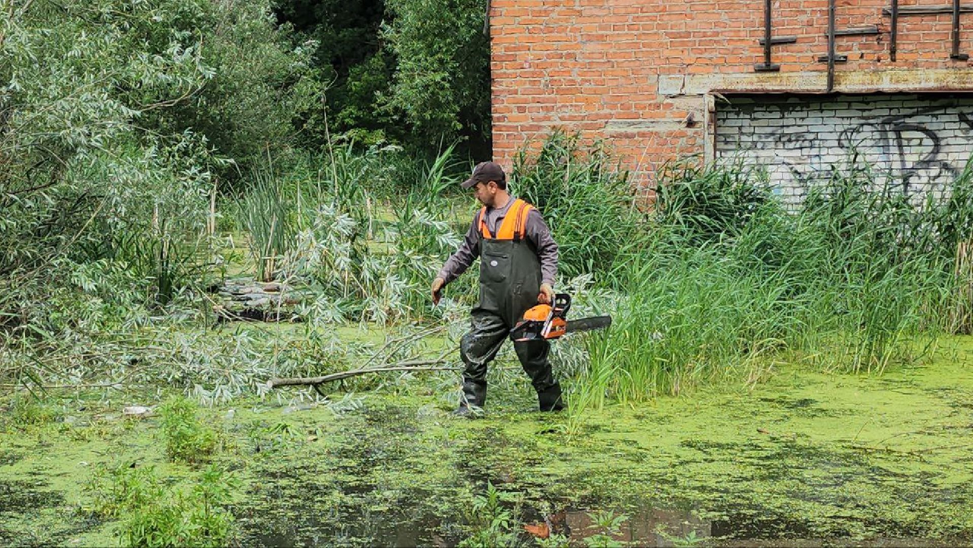люберцы, охрана окружающей среды, расчистка, уборка, береговая линия,