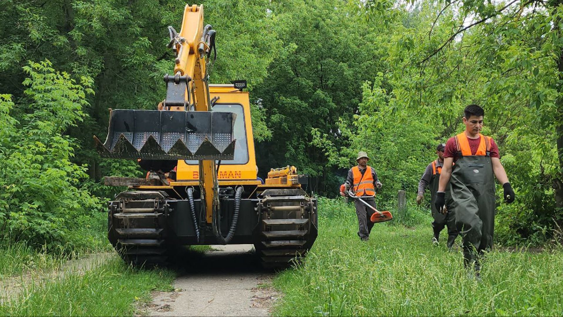 люберцы, охрана окружающей среды, расчистка, уборка, береговая линия,