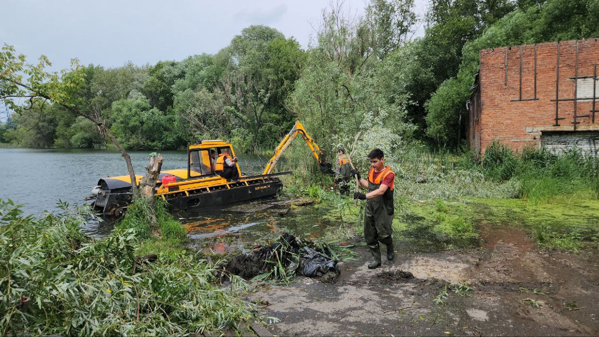 люберцы, охрана окружающей среды, расчистка, уборка, береговая линия,