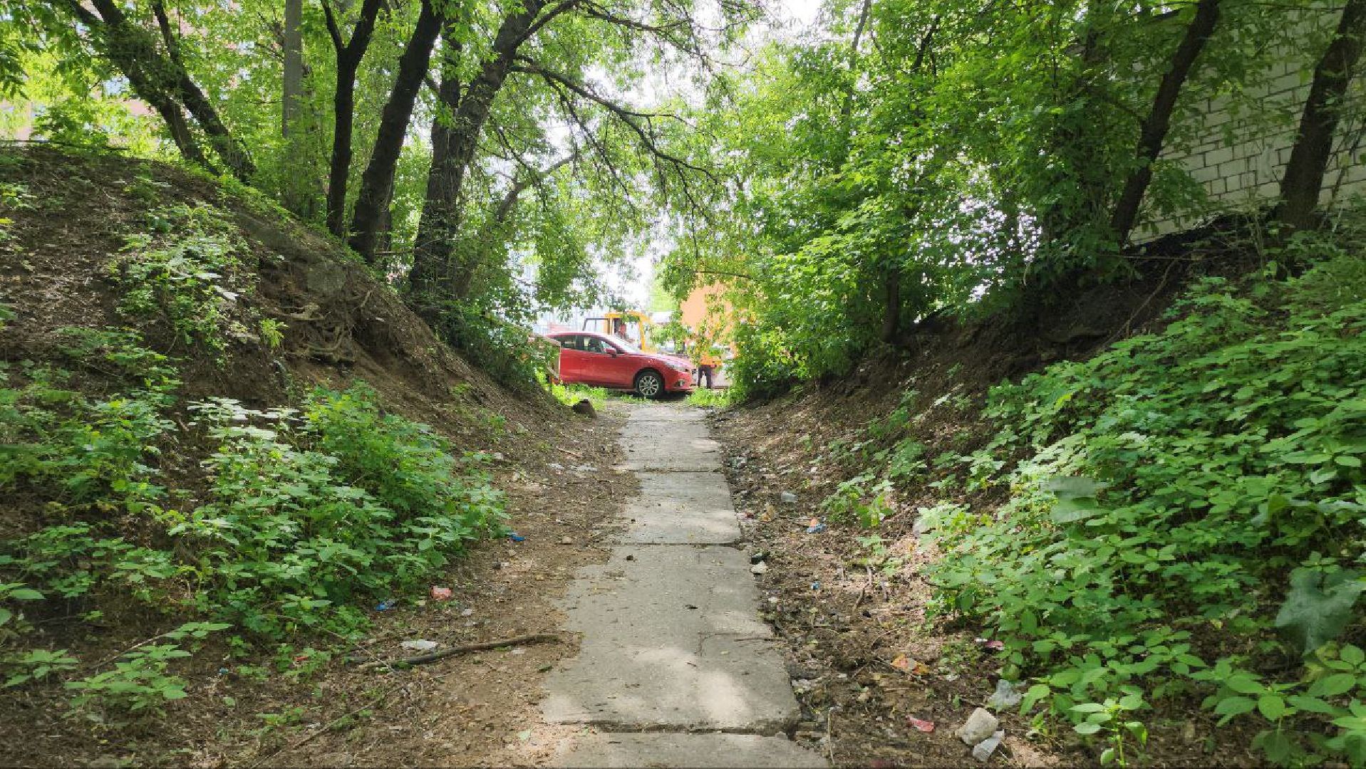 люберцы, охрана окружающей среды, расчистка, уборка, береговая линия,