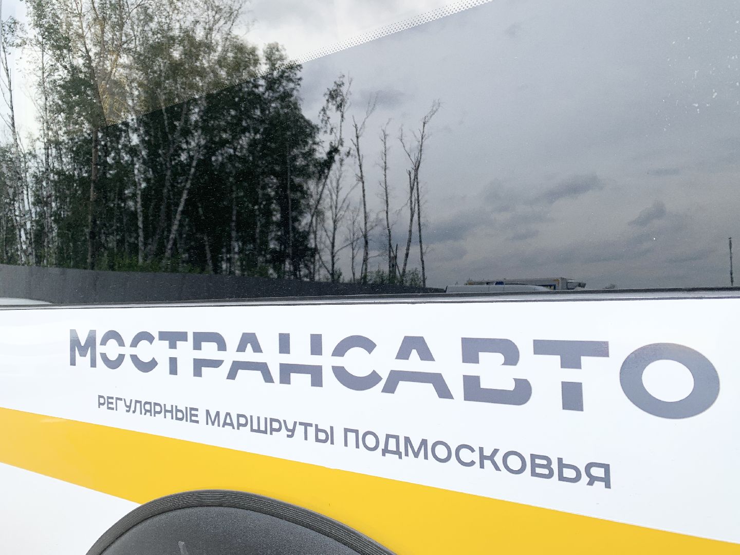 Балашиха, Подмосковье, Транспорт, новые автобусы,