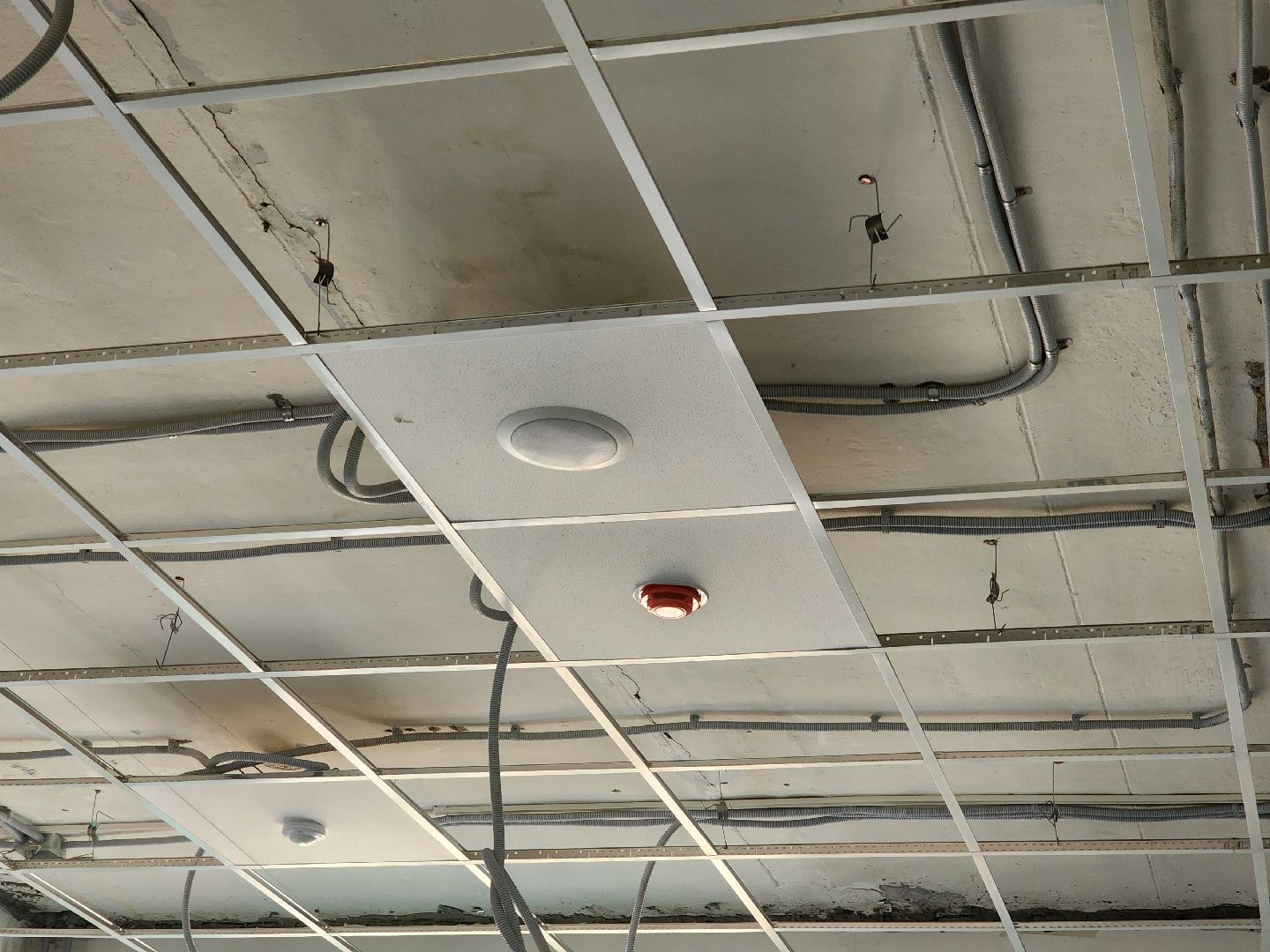 школа, ремонт, строительство, центр образования, ремонт школы, ногинск,