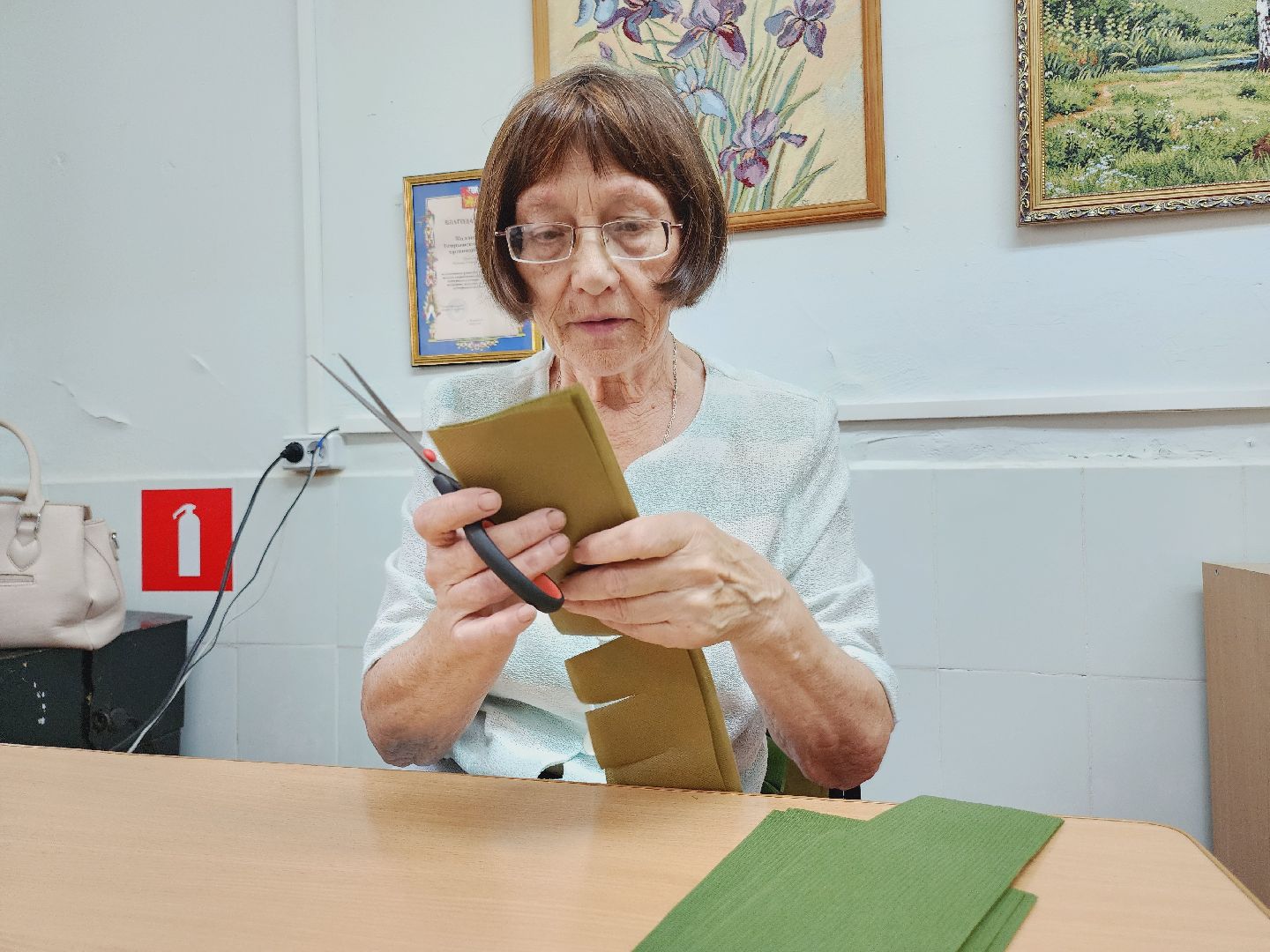 Егорьевск, маскировочная сеть, совет ветеранов, Подмсоковье, московская область,